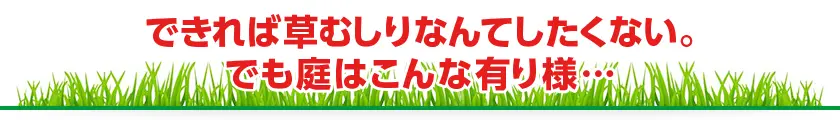 できれば草むしりなんてしなくない。でも庭はこんな有り様…