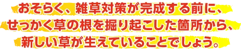 おそらく、雑草対策が完成する前に、せっかく草の根を掘り起こした箇所から、新しい草が生えていることでしょう。