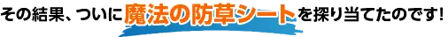 その結果、ついに魔法の防草シートを探り当てたのです！