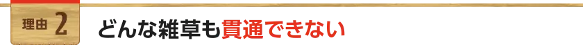 どんな雑草も貫通できない