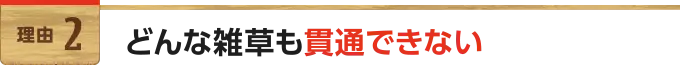 どんな雑草も貫通できない