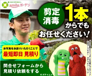 剪定消毒1本からでもお任せください！最短即日見積もり。