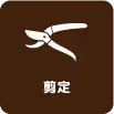 庭木剪定
