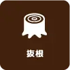 伐採