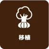 冬囲い・雪吊り
