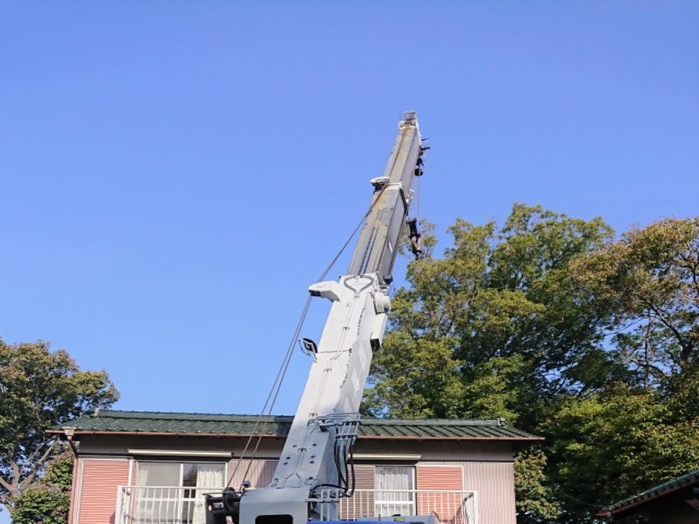 庭木を移植・植替え際の方法を解説！難易度やリスクを理解して依頼しましょう_001