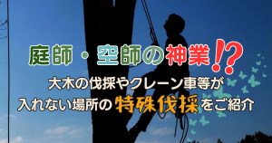 庭師・空師の神業！？大木の伐採やクレーン車等が入れない場所の特殊伐採をご紹介