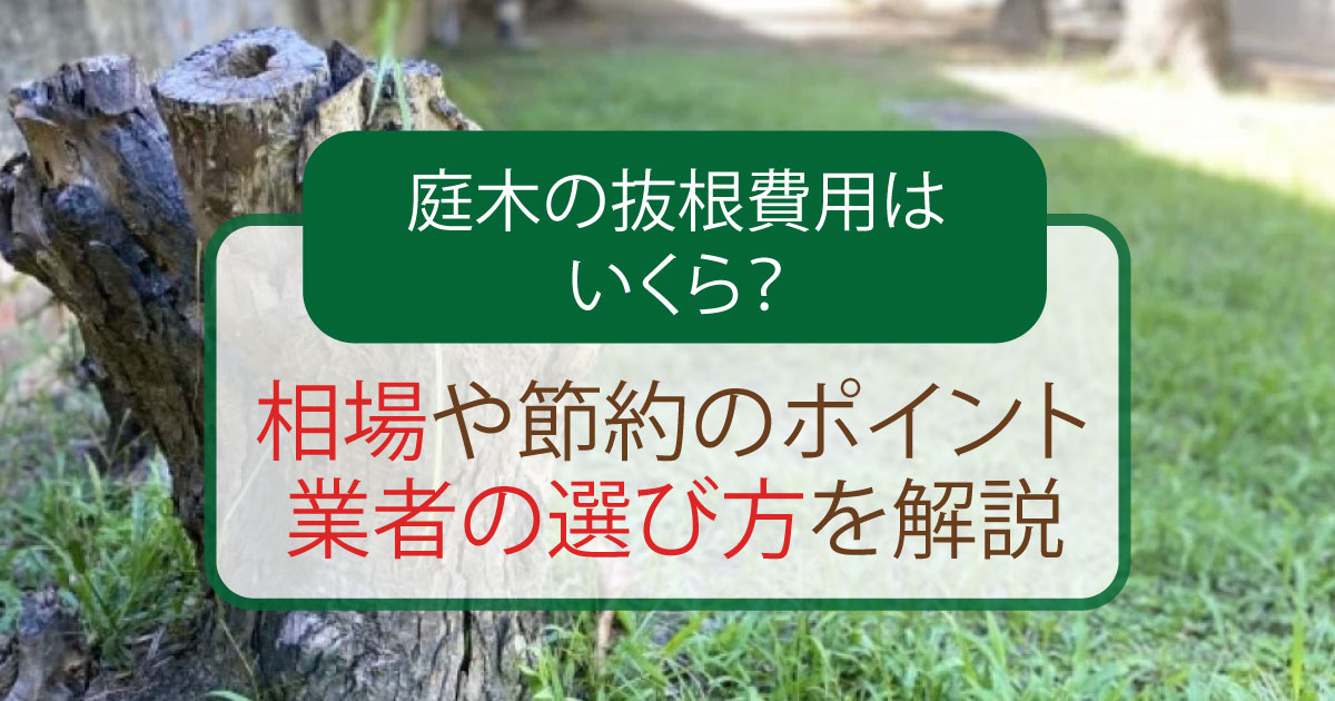 庭木の抜根費用はいくら？相場や節約のポイント、業者の選び方を解説