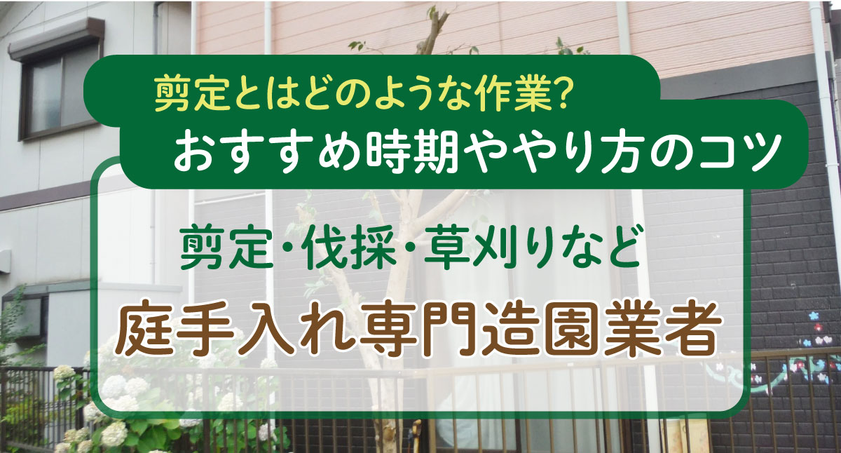 剪定とはどのような作業？おすすめ時期ややり方のコツ | 剪定・伐採・草刈りなど庭手入れ専門造園業者