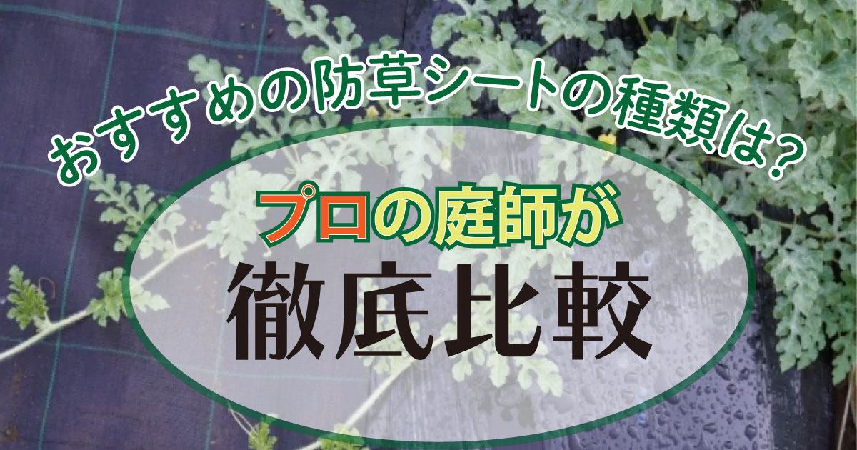 おすすめの防草シートの種類は？プロの庭師が徹底比較！