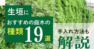 生垣におすすめの庭木の種類19選 を紹介！手入れ方法も解説