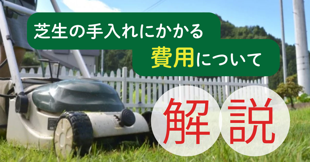 芝生の手入れにかかる費用について解説！