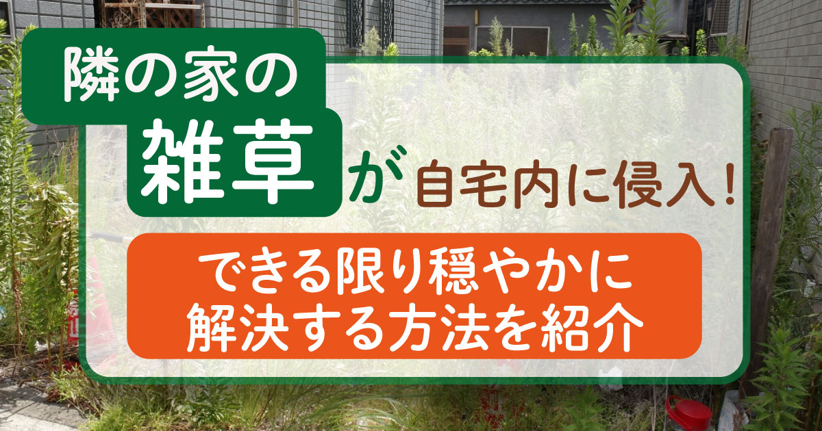 隣の家の雑草が自宅内に侵入！できる限り穏やかに解決する方法を紹介