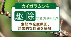 カイガラムシを駆除する方法とは？生態や発生原因、効果的な対策を解説