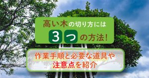 高い木の切り方には3つの方法!作業手順と必要な道具や注意点を紹介
