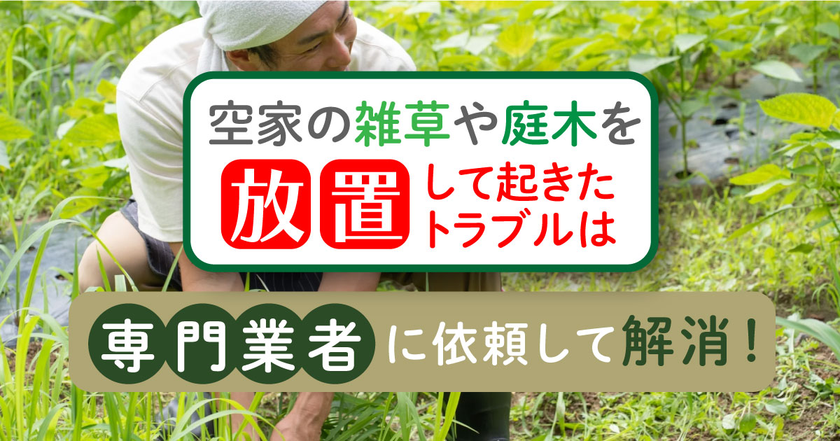 空家の雑草や庭木を放置して起きたトラブルは専門業者に依頼して解消！