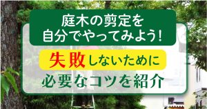 庭木の剪定を自分でやってみよう!失敗しないために必要なコツを紹介