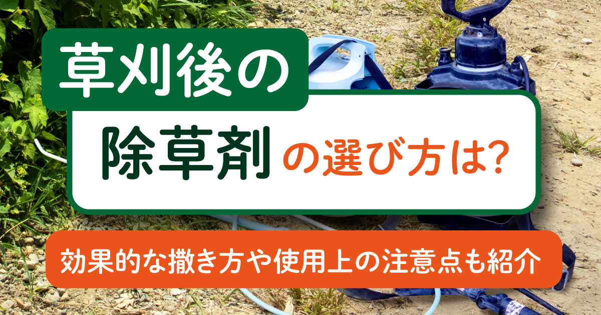草刈後の除草剤の選び方は?効果的な撒き方や使用上の注意点も紹介