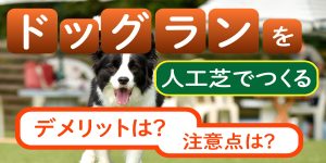 ドッグランを人工芝でつくるデメリットは？注意点は？