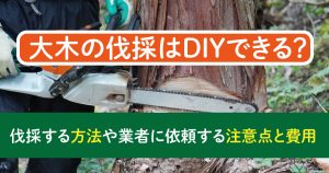 大木の伐採はDIYできる?伐採する方法や業者に依頼する注意点と費用