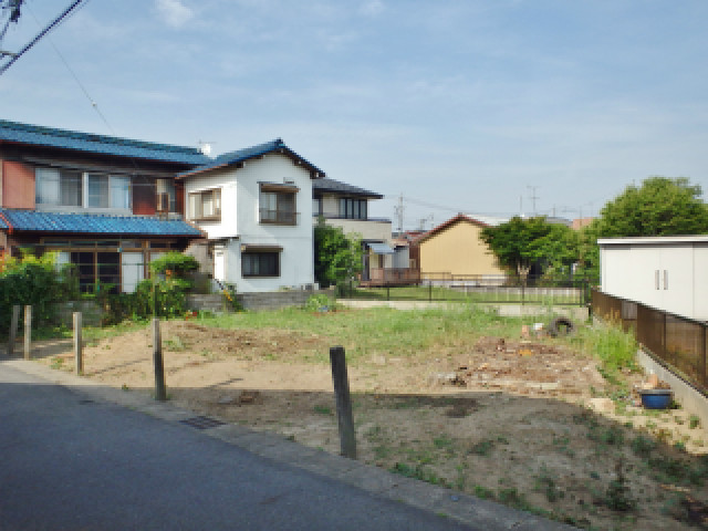 全ての木が伐採された空き地