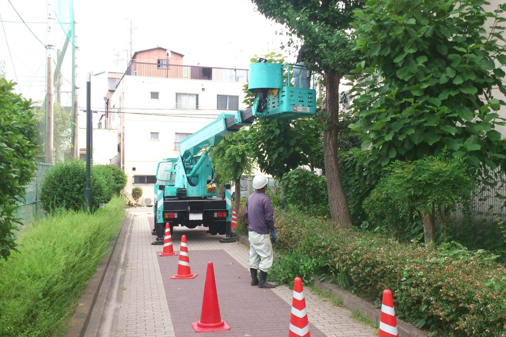 街路樹とクレーン車に乗って作業する男性