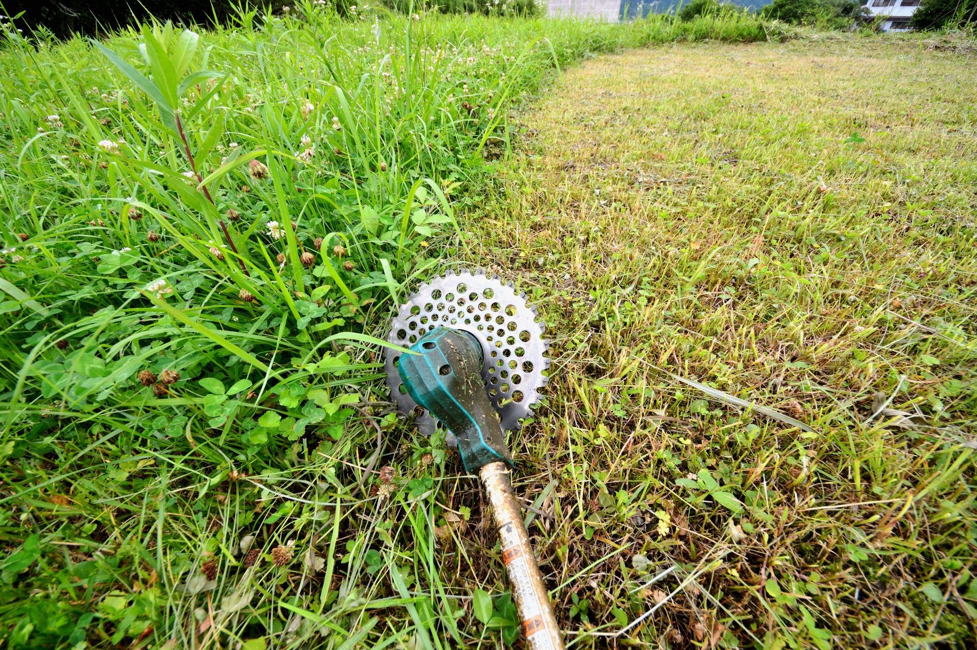 草刈り機の正しい使い方や上手に刈るコツ、注意点を初心者向けに解説