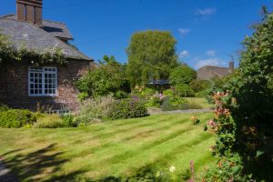 カメムシが大量発生するのはなぜ？主な原因や被害、効果的な対策を解説