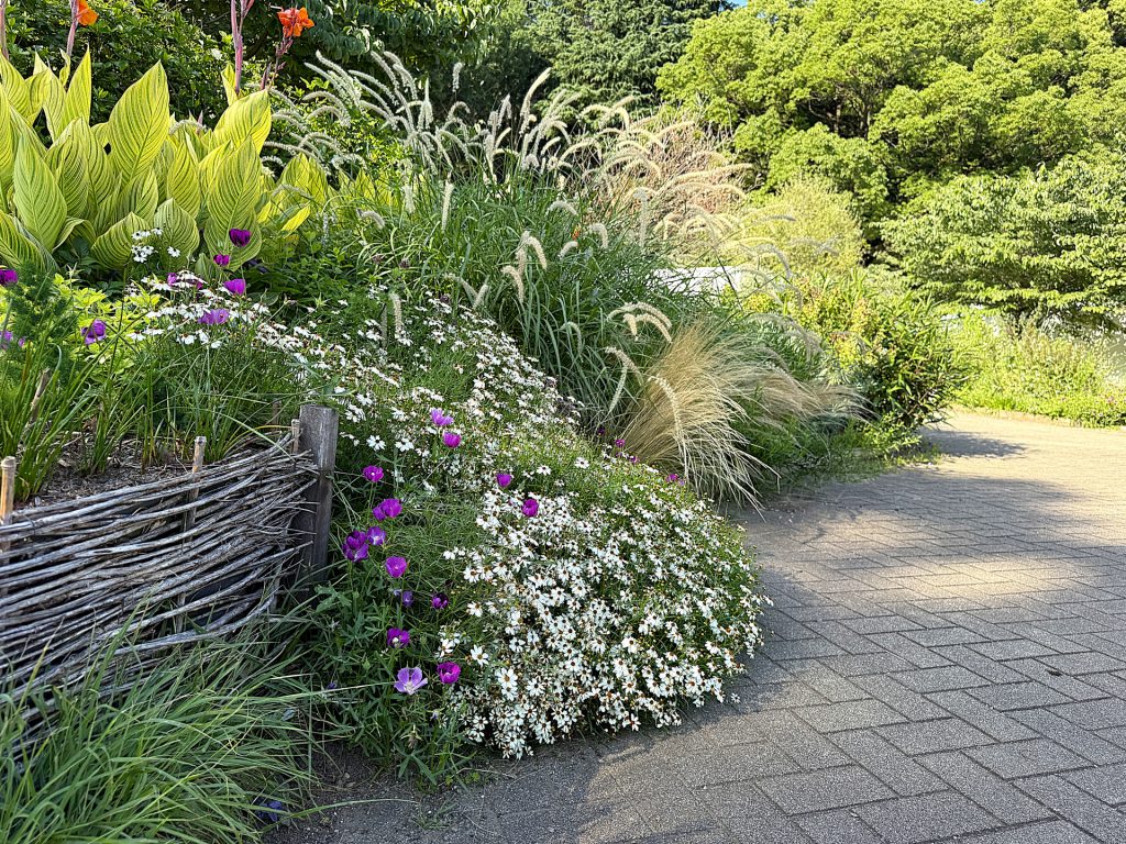 雑木の庭8