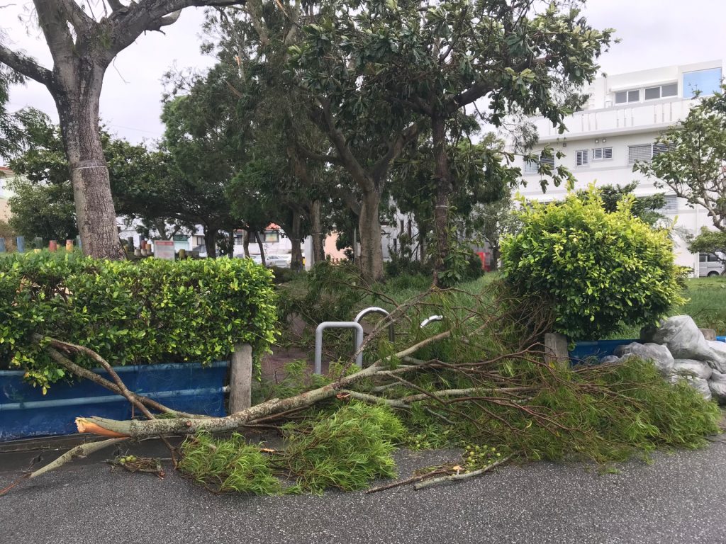 台風対策　画像
