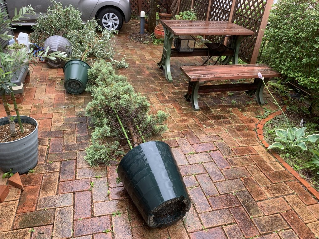 台風対策　画像
