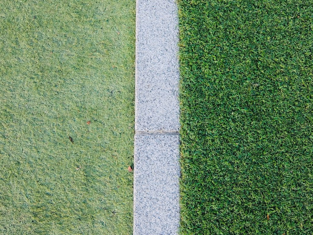 人工芝 画像