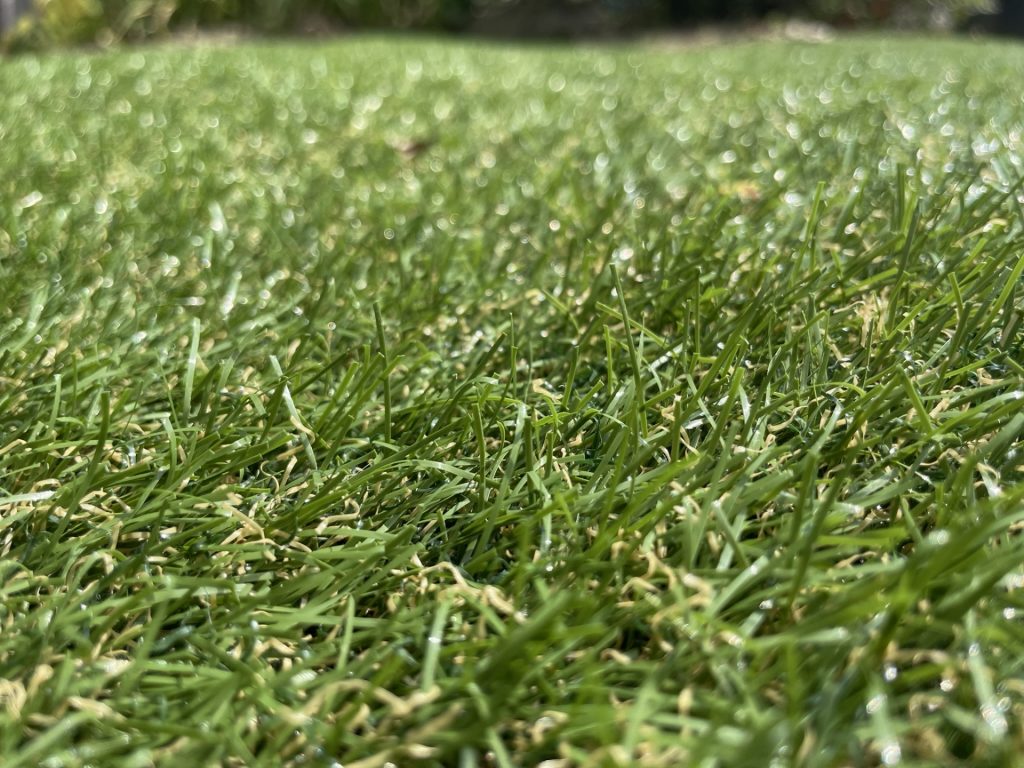 人工芝 掃除 画像